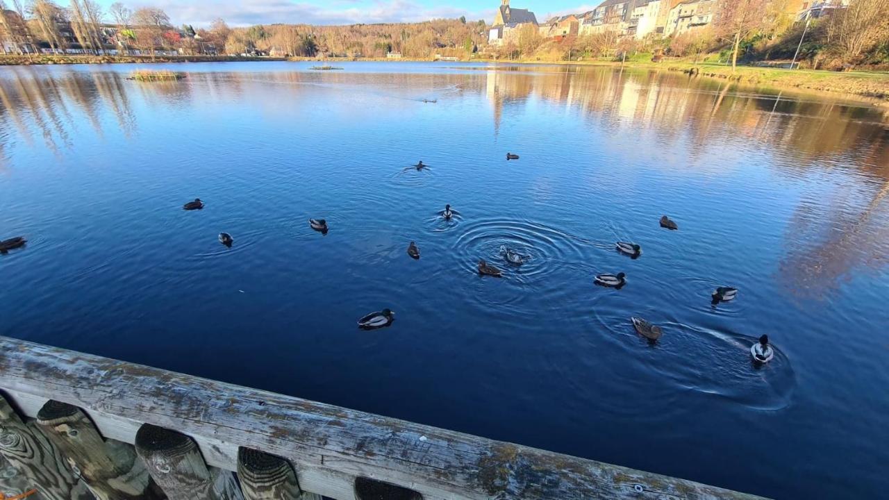 Le Salmoyard, Studio Au Bord Du Lac A Vielsalm Εξωτερικό φωτογραφία