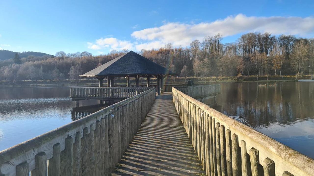 Le Salmoyard, Studio Au Bord Du Lac A Vielsalm Εξωτερικό φωτογραφία